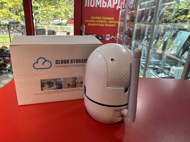 Видеокамера  Cloud Storage