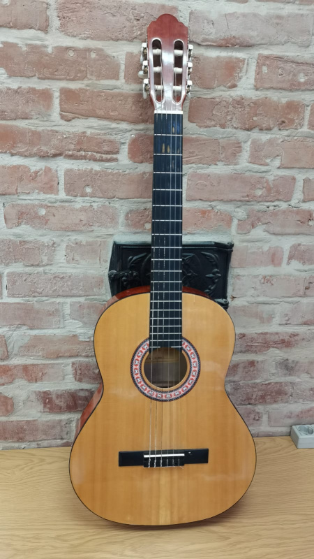 гитара Ampe LC 3910 N