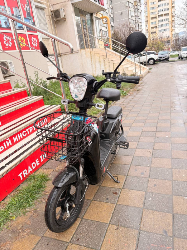 Самокат SK8 SK8 800w