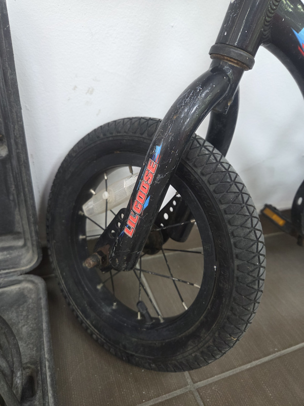Велосипед детский Mongoose LIL GOOSE 12