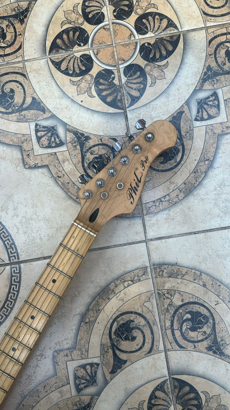 Электрогитара PHIL PRO philpro