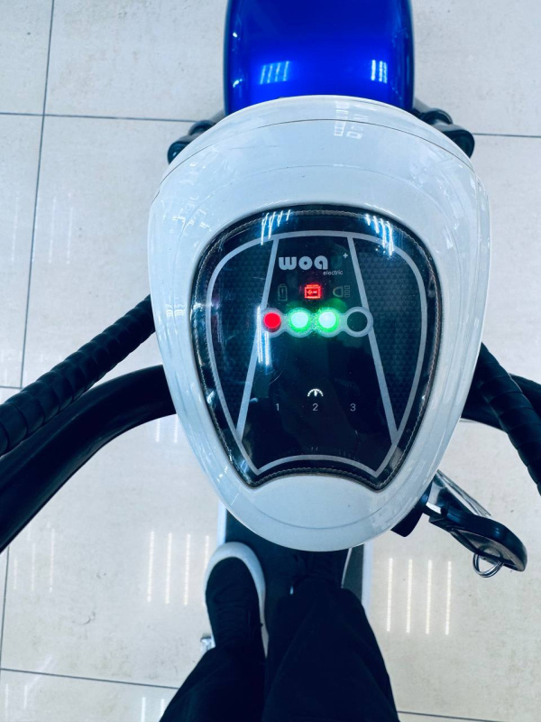 Электроскутер Seev Citycoco Classic 1000w 12ah 60v