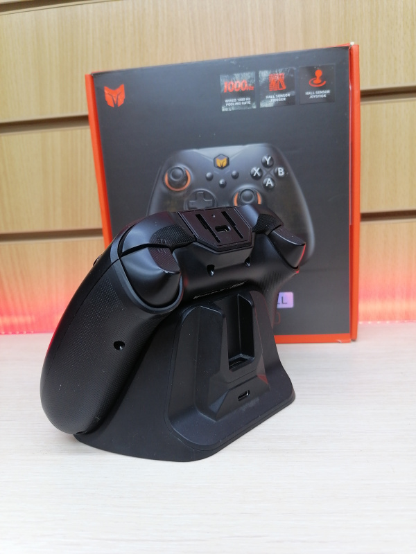 BIGBIG WON  GALE HALL