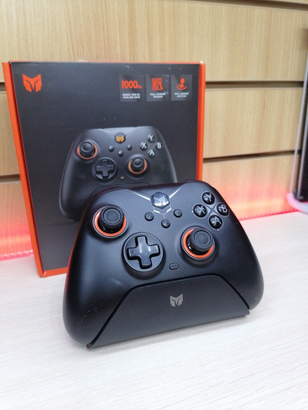 BIGBIG WON  GALE HALL