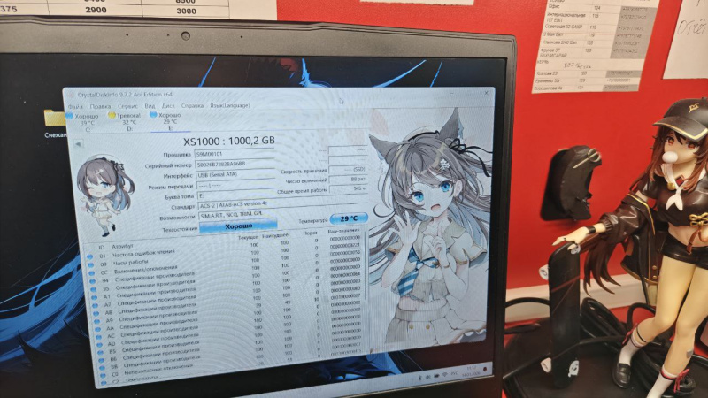 Карта памяти KingStone XS1000