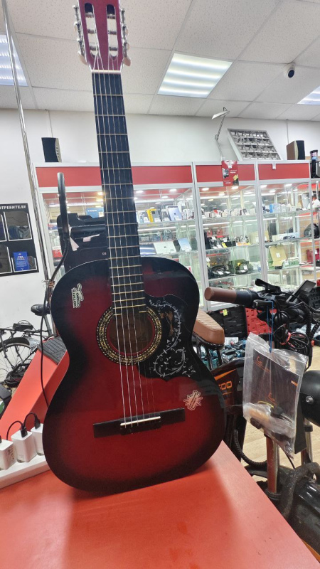 Акустическая гитара Другой Brigita F91