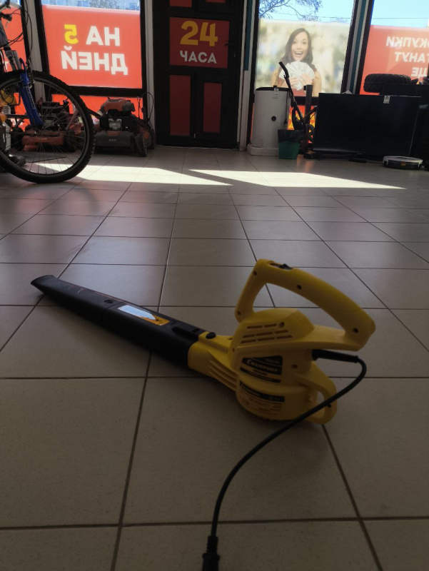 Воздуходувки Champion EB1000