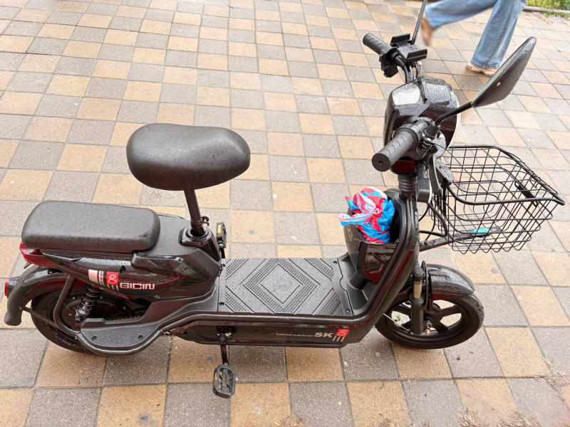 Самокат SK8 SK8 800w