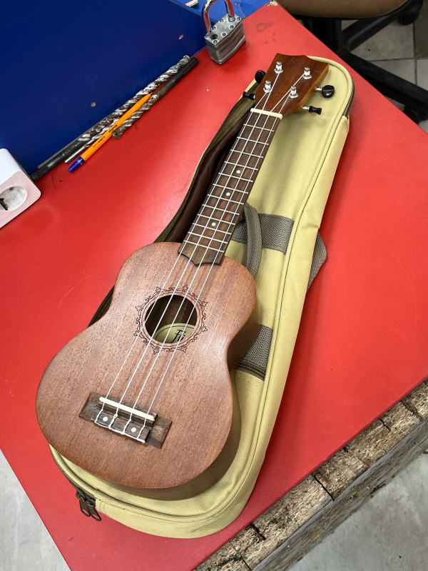 укулели   flight us 310