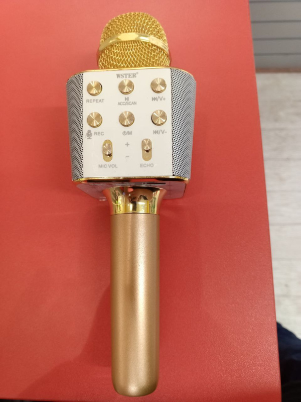 Микрофон WS WELDESHIP WS-1688