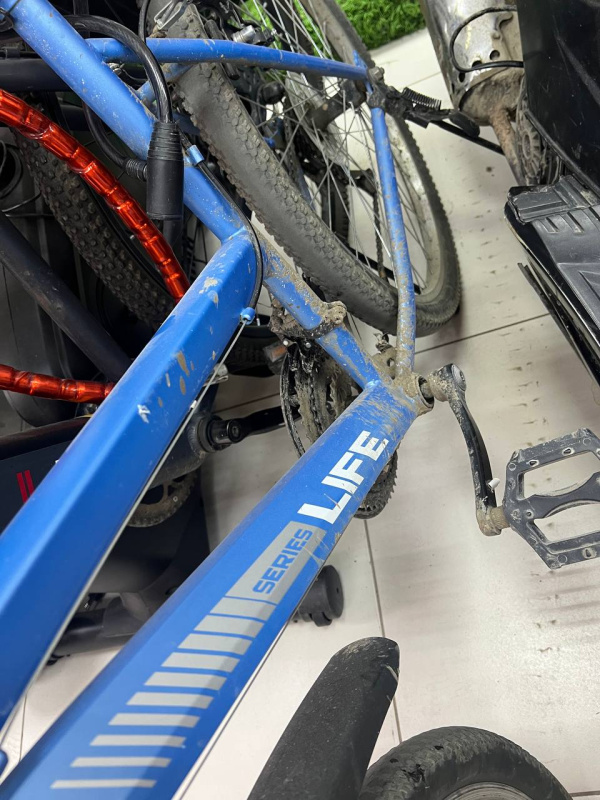 Велосипед горный Actiwell Life