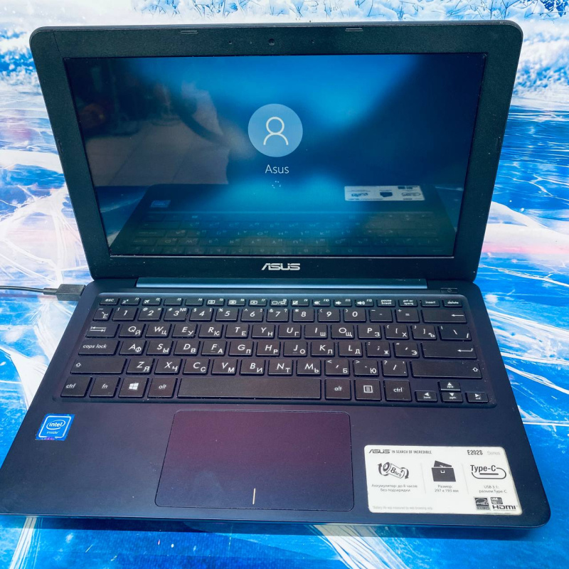 ASUS E202S