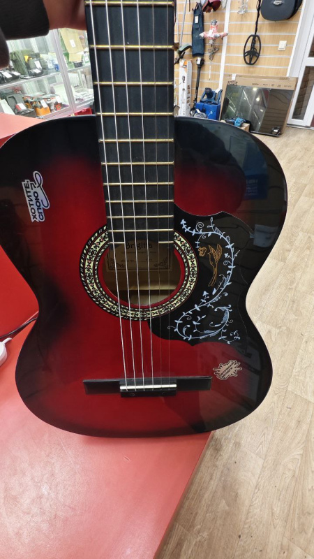 Акустическая гитара Другой Brigita F91