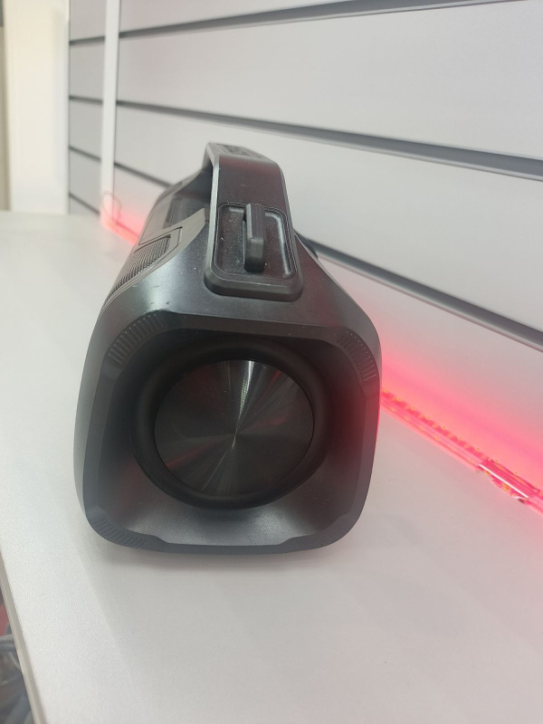 Колонки Портативная колонка Aceline P570